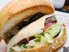 -The Habit Burger Grill 哈比特汉堡(世博店)
