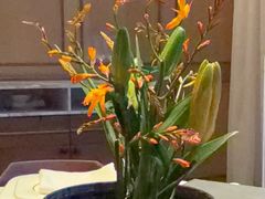 -粤界.港式海鲜火锅(望京店)