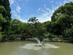 -上海醉白池公园