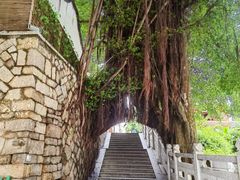 -乌山风景区