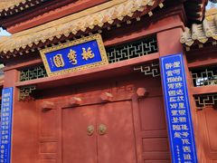 -桃花堤公园