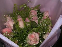 -红星电影世界上海张江绿地店