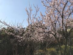 -宝界山林公园