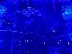 -OPEN開全日自助餐厅·西餐·海鲜(佛山希尔顿酒店)