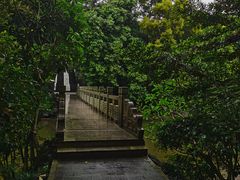 -深圳国际园林花卉博览园