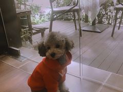 -默迹咖啡馆