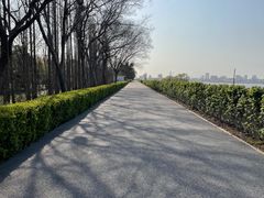 -上海滨江森林公园