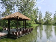 -溱湖国家湿地公园