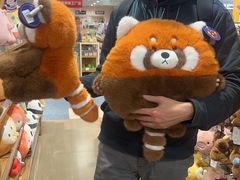 -AEON永旺(东方宝泰店)