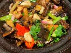 -大榕树下顺德菜(融创茂店)