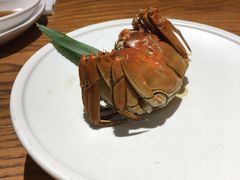熟醉六月黄螃蟹-苏小柳手工点心(人民广场分院)