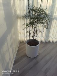 -HEYAN荷妍专业脱毛连锁机构