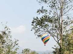 -中国科学院西双版纳热带植物园