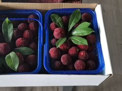 -百果园(奕淳公寓店)