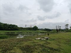 -两河城市森林公园