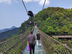 -梦幻奥陶纪景区