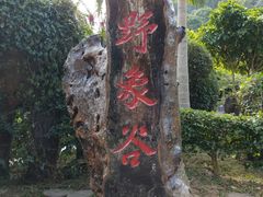 -野象谷景区