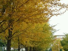 -辽宁大学(崇山校区)