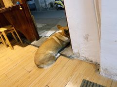 -阿木舂记·特色小吃(平江路店)