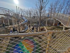 -金宝幼儿园(通州校区)