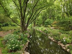 -上海共青森林公园