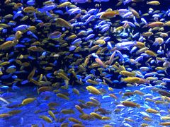 -成都浩海立方海洋公园