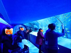 -太平洋海底世界