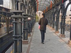 -合肥滨湖国家森林公园