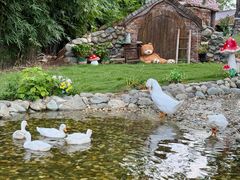 -HERRE·FARM 赫尔露营农场·团建聚会包场