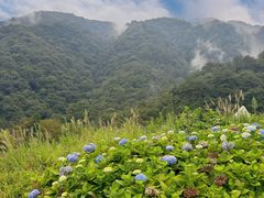 -龙岩森林水乡景区