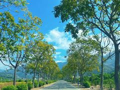 -广州市石门国家森林公园