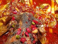 -嘉定凯悦·咖啡厅