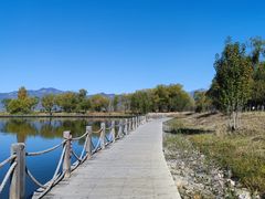 -野鸭湖国家湿地公园