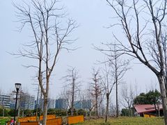 -上海山野camping·户外天幕烧烤·团建拓展营地