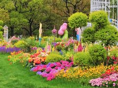 -上海共青森林公园