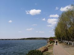 -丁香湖公园