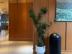 -奈雪的茶(M+世纪都会广场店)