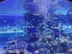 -左海海底世界