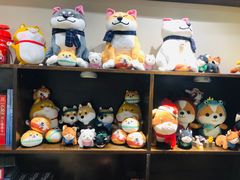 零售区-逗柴咖啡屋·狗咖猫咖宠物桌游