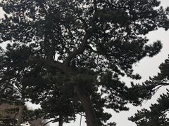 -妙峰山风景名胜区