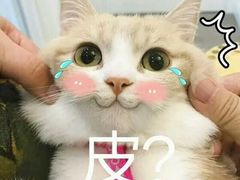 -常州大剧院保利影城