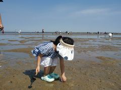 -仙人岛