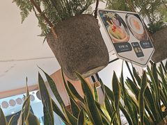 -三个椰子·现砍椰子鸡(金源CBD店)