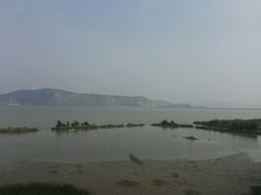 android_upload_pic-漩门湾国家湿地公园