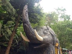-野象谷景区
