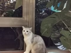 -咖法森林·咖啡  酒吧(天河店)