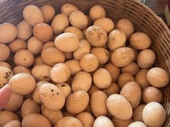 -清水湖度假村(罗浮山美食地标店)