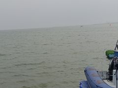 -碧海金沙