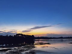 -武陵山森林公园