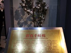 -文瀛公园